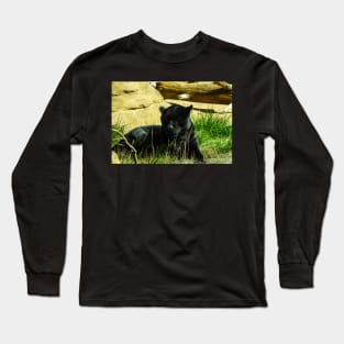 Black Panther Long Sleeve T-Shirt